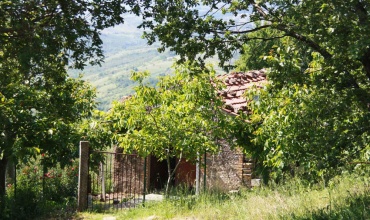 Bauernhaus zum Renovieren mit Grundstück