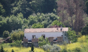Bauernhaus mit Grundstück und Panoramaterrasse
