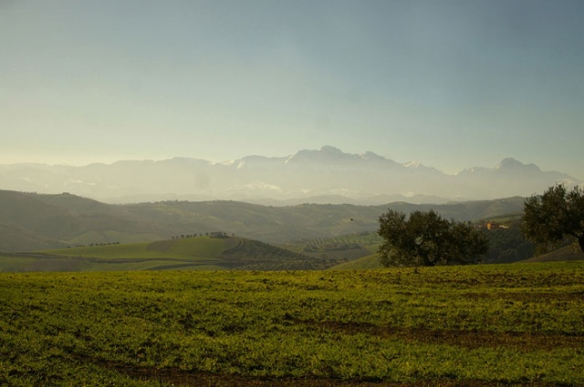 Agrargrundstück in Contrada Centorame, Atri zum Kauf