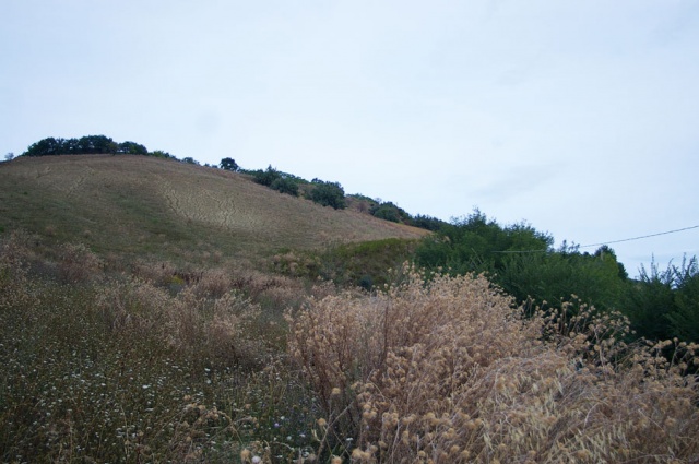 Agrargrundstück in Contrada Centorame, Atri zum Kauf