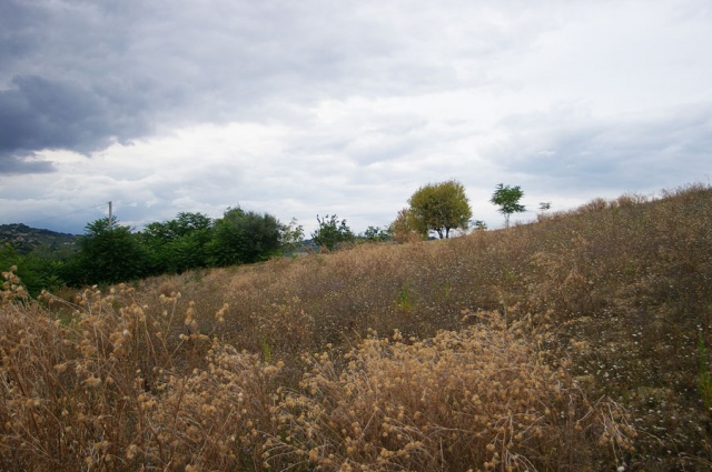 Agrargrundstück in Contrada Centorame, Atri zum Kauf