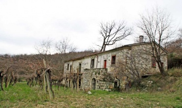 Steinhaus mit Grundstück