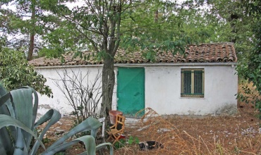 Steinhaus mit Grundstück und Bach