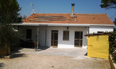 Haus mit Grundstück und Olivenbäumen