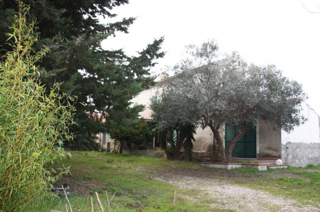 Grundstück mit Olivenbaum Landhaus in Pollutri