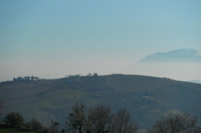 Blick auf das Tal eines Grundstückes in Atri