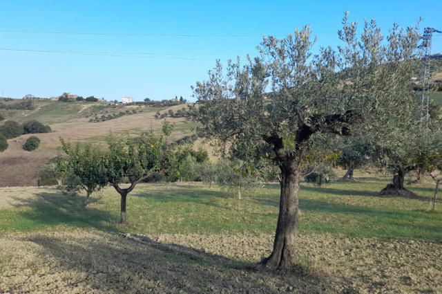 Atri, 2 Bedrooms Bedrooms, ,2 BathroomsBathrooms,Villa,Kaufen,Contrada Cagno 30,1544